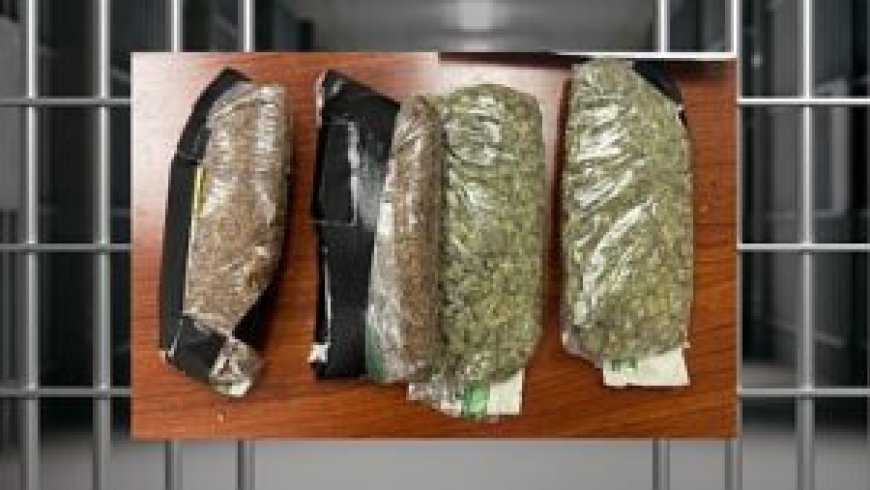 US Eases Federal Restrictions on Marijuana in Major Policy Shift