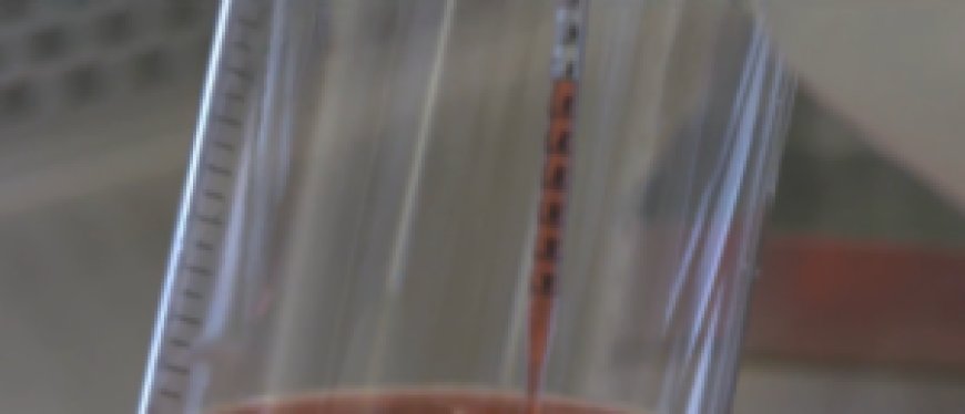 FDA Approves First Gene Therapy for Rare Genetic Hearing Loss