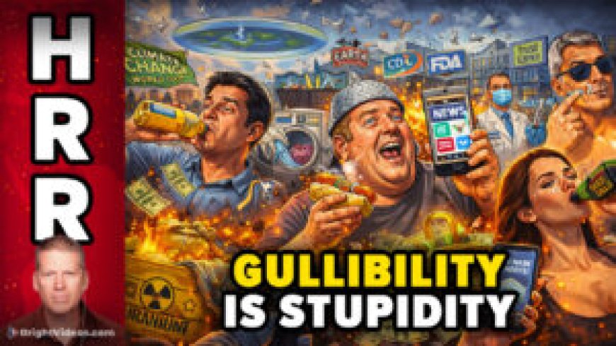 Gullibility IS Stupidity