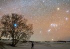 Why are some constellations visible for only part of the year?