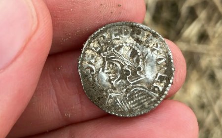 'The detectors never stopped beeping!' Nearly 3,000 coins discovered in field are Norway's largest Viking hoard on record