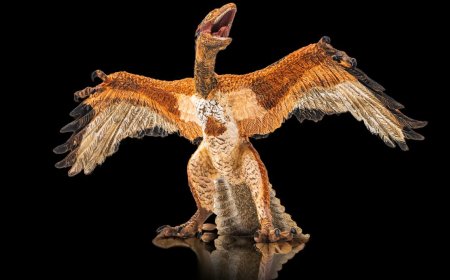 'He began to cry, and almost fell to the floor': The fluffy fossil that finally showed the world that birds are dinosaurs