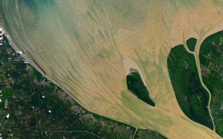 Full moon helps paint vibrant, muddy 'brushstrokes' in Indonesian river — Earth from space