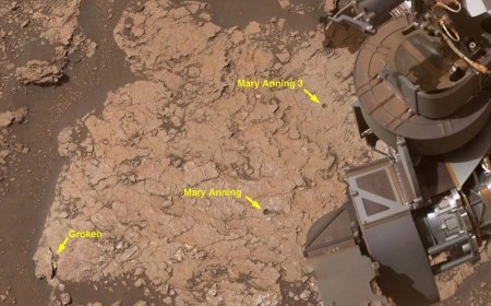NASA rover uncovers rock with 7 new organic molecules on Mars — the 'most diverse collection' ever seen