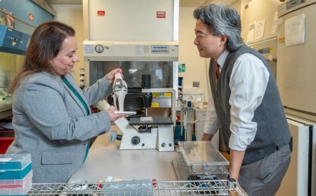 'Eventually, it becomes you': Inventors of new 'living' knee replacement describe why this tech is desperately needed and how it works