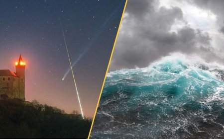 Science news this week: Atlantic current edges closer to collapse, scientists make artificial-neuron breakthrough, and a copy of the 'Iliad' is found inside an Egyptian mummy