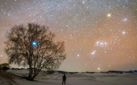 Why are some constellations visible for only part of the year?