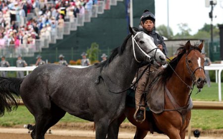 WATCH: Great White Scratched from Kentucky Derby After Throwing Rider in Scary Scene