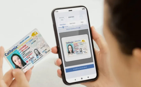 Protect Freedom and privacy of internet users