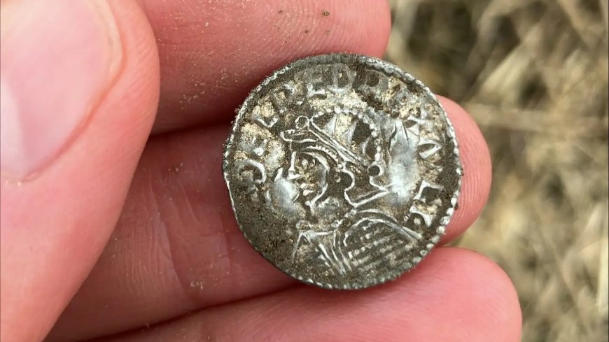 'The detectors never stopped beeping!' Nearly 3,000 coins discovered in field are Norway's largest Viking hoard on record