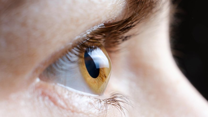 Early data links Wegovy to risk of 'eye stroke' — here's what to know