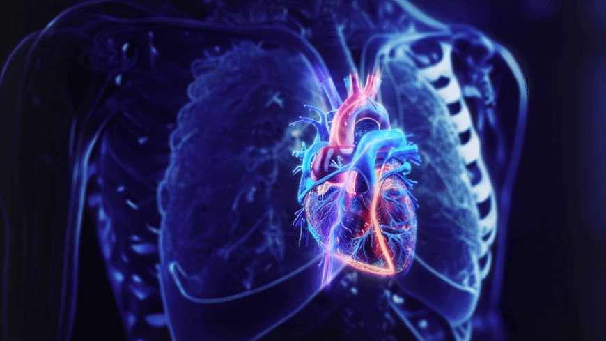 Heartbeats physically stop cardiac cancer from growing — and that could be key to thwarting other cancers, too