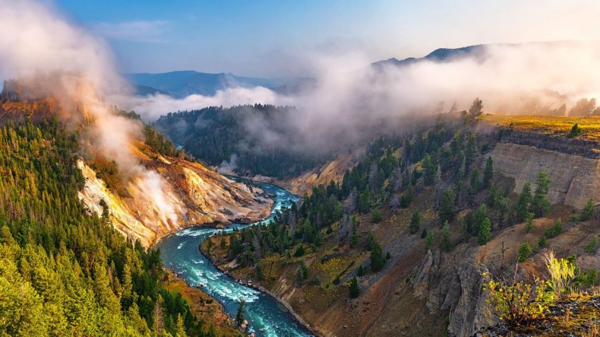 'It cuts both ways': Positive tipping points can restore wrecked ecosystems — we just need to trigger them, Earth system scientist Tim Lenton says