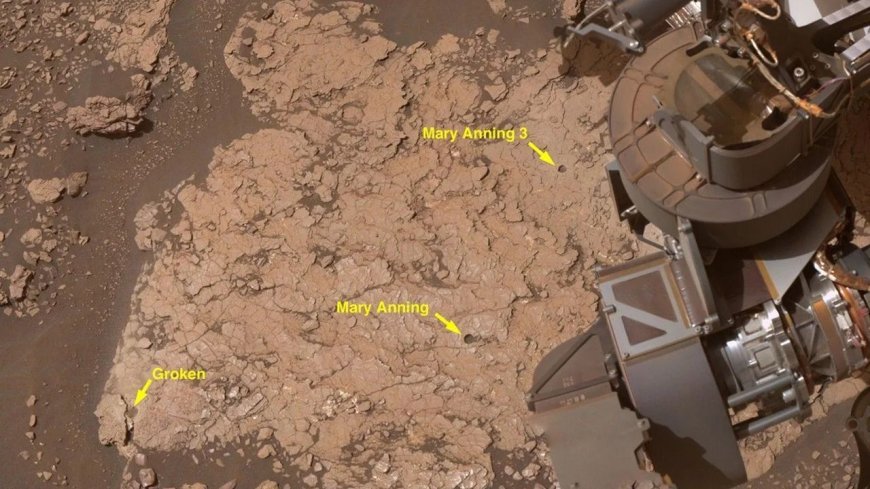 NASA rover uncovers rock with 7 new organic molecules on Mars — the 'most diverse collection' ever seen