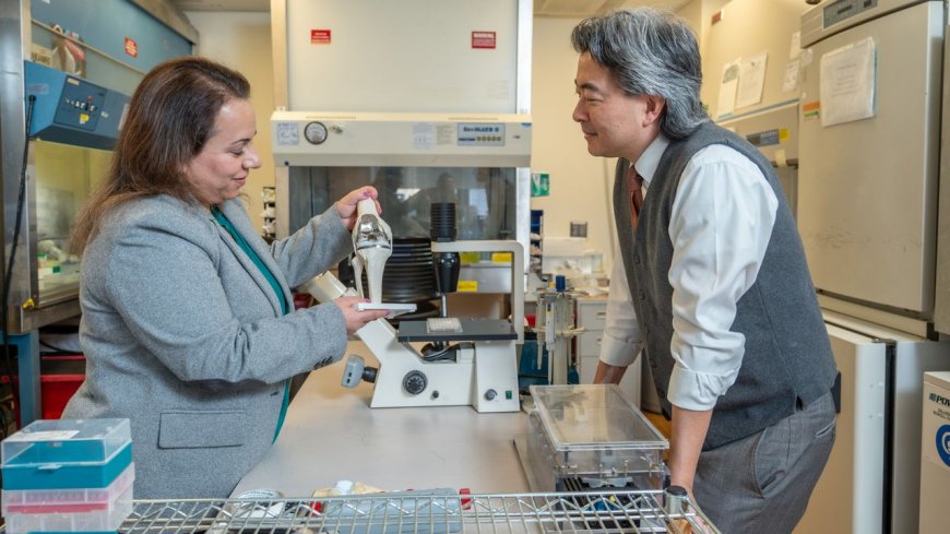 'Eventually, it becomes you': Inventors of new 'living' knee replacement describe why this tech is desperately needed and how it works