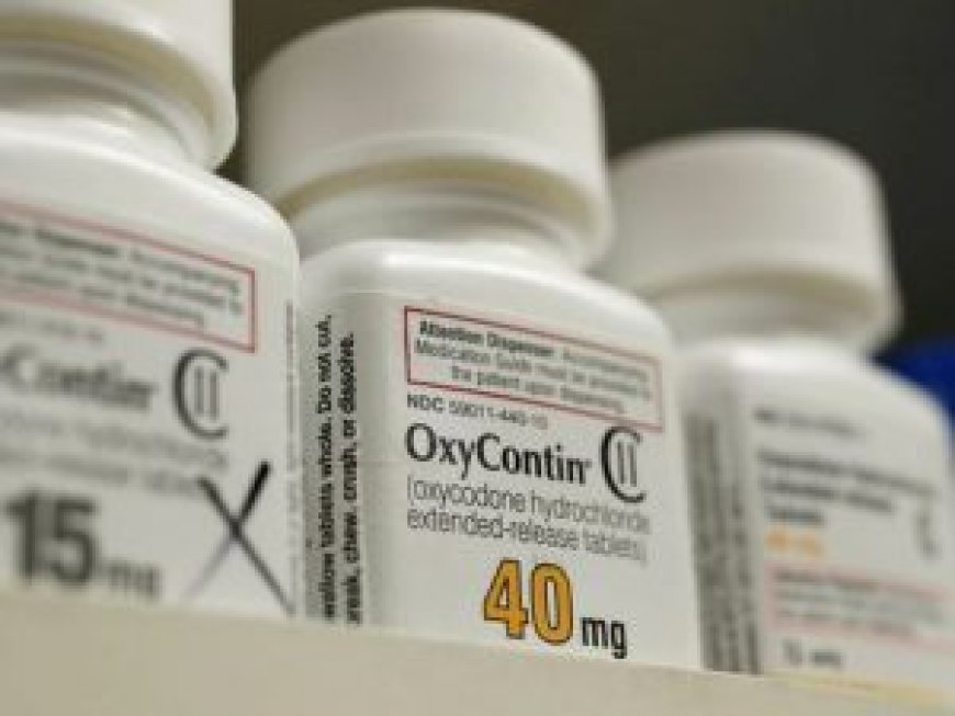 Purdue Pharma Emerges From Bankruptcy as Nonprofit Focused on Opioid Addiction Treatment