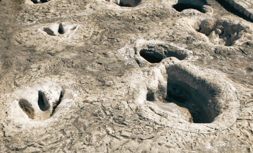 Scientists Discover Rare Fossil Footprints in South Korea Preserved in 106-Million-Year-Old Rock