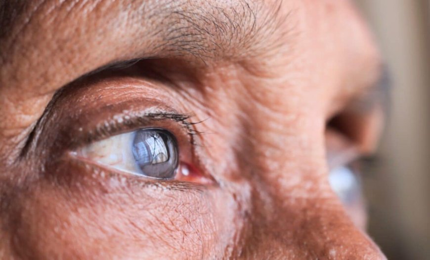 Eye Supplementation: What Is It? And Why More Specialists Are Recommending It