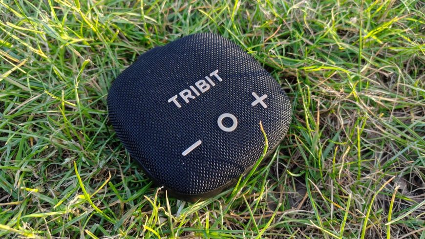 I took a great cheap Bluetooth speaker to the rainiest place possible, and it survived 7 busy days of abuse without a complaint — I'd definitely recommend it as a reliable music companion for your adventures