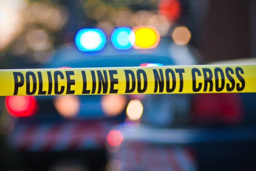 Suspect identified in Ottawa shooting that injured officer