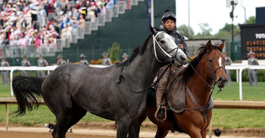 WATCH: Great White Scratched from Kentucky Derby After Throwing Rider in Scary Scene