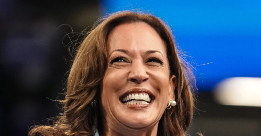 Nolte: Harris Jumps to 28-Point Lead over Newsom in 2028 Primary Poll