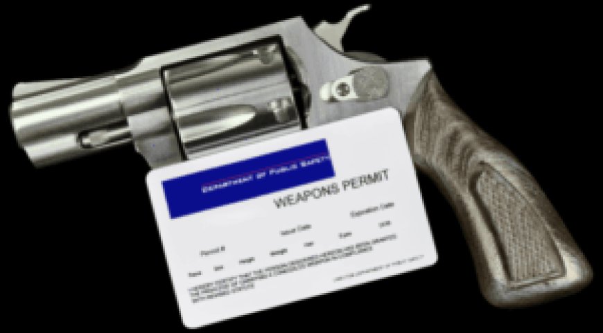Delaware’s Handgun Permit-to-Purchase Law Sparks 2A Backlash as Implementation Begins November 2025