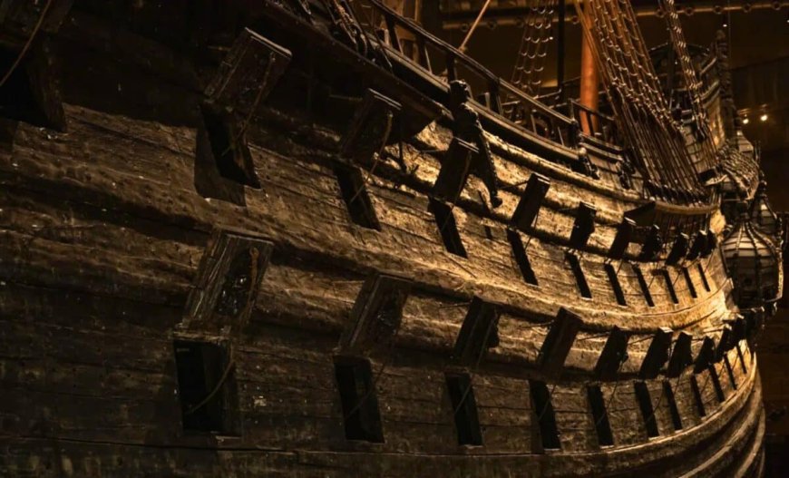 A 16th-Century Shipwreck Was Just Found Off Sweden’s Coast Still Intact Enough to Reveal Its Tree Rings