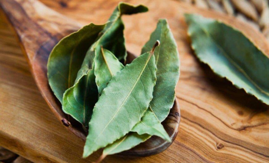 Why Mix Bay Leaves and Baking Soda: What It’s Good for and Why Thousands Use It at Home