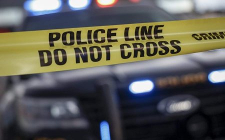 Officer shot at by man during Mississauga investigation, uninjured: Peel Police