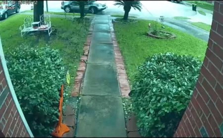 Tesla in autopilot mode left roadway and crashed into home, killing 76-year-old woman inside, officials say