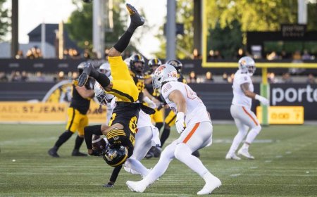 Veteran Lawler shines as Ticats defeat Lions 41-27