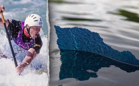 Olympian charged in Reflecting Pool vandalism tied to Dem fundraising giant
