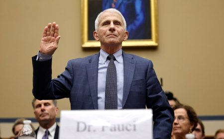 Legacy media ignores massive Anthony Fauci document release alleging he misled Congress on COVID origins