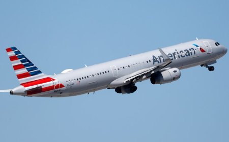 Chaos erupts on American Airlines flight as unruly passenger allegedly bites fellow traveler midair
