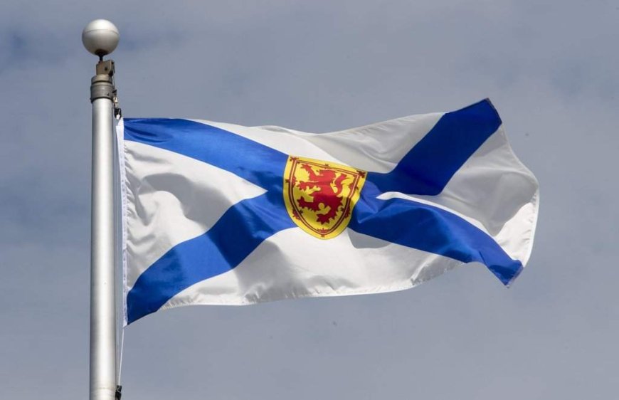 Progressive Conservatives win byelection in new N.S. Acadian riding in Cape Breton