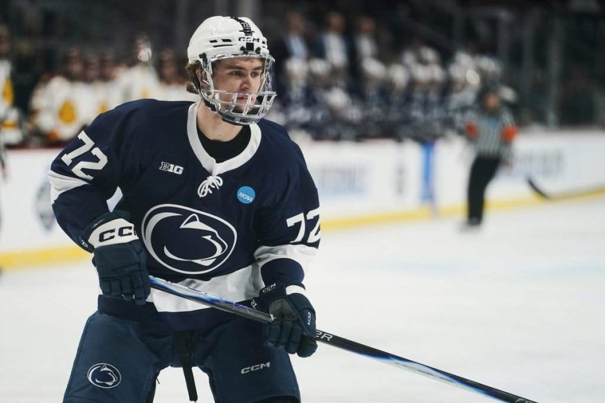 Maple Leafs hold top pick in NHL Draft