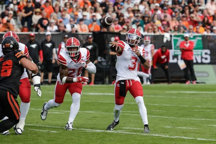 Stampeders spoil Lions’ party with 41-33 win