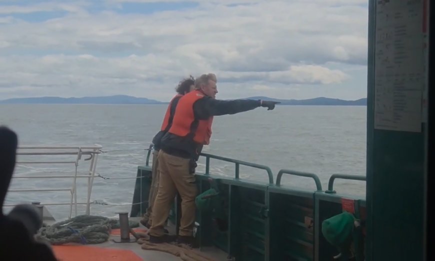 Four rescued from water near Vancouver airport, search ongoing for six others