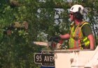 Thunderstorm cleanup expected to cost City of Edmonton $20-$30 million