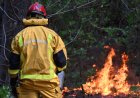 France lets 84K evacuees go home as wildfires spread across Europe