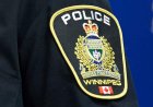 ‘Thirsty, distressed dog’ left in hot car at Winnipeg grocery store: WPS
