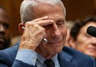 Republicans Move to Ban Fauci from Federal Government After Fifth Amendment Hearing
