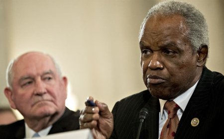 Battle to replace late House Dem goes to overtime after daughter failed to clinch seat