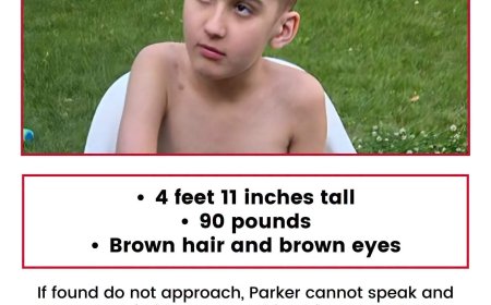 Calgary police resume ground search for missing 11-year-old boy