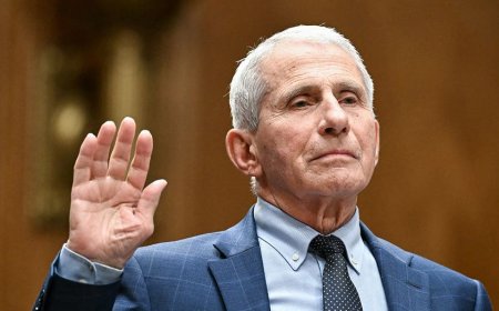 Moms for Liberty co-founder rips Fauci after Fifth Amendment plea, 'America deserves an apology'