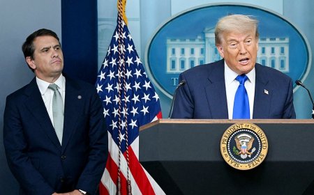Trump admin invokes 30-year dormant terror court as it seeks to deport Afghan woman tied to Election Day plot