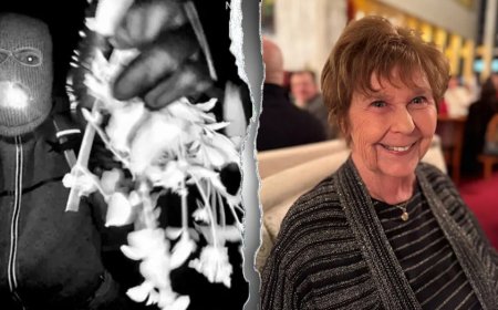 Nancy Guthrie update: DNA couldn't be profiled from crime scene hair sample, sheriff says