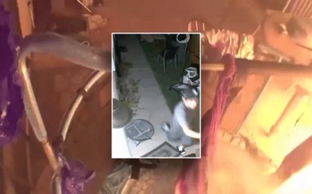 Mystery stranger vanishes after family says frantic warning saved their lives during devastating house fire