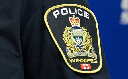‘Thirsty, distressed dog’ left in hot car at Winnipeg grocery store: WPS